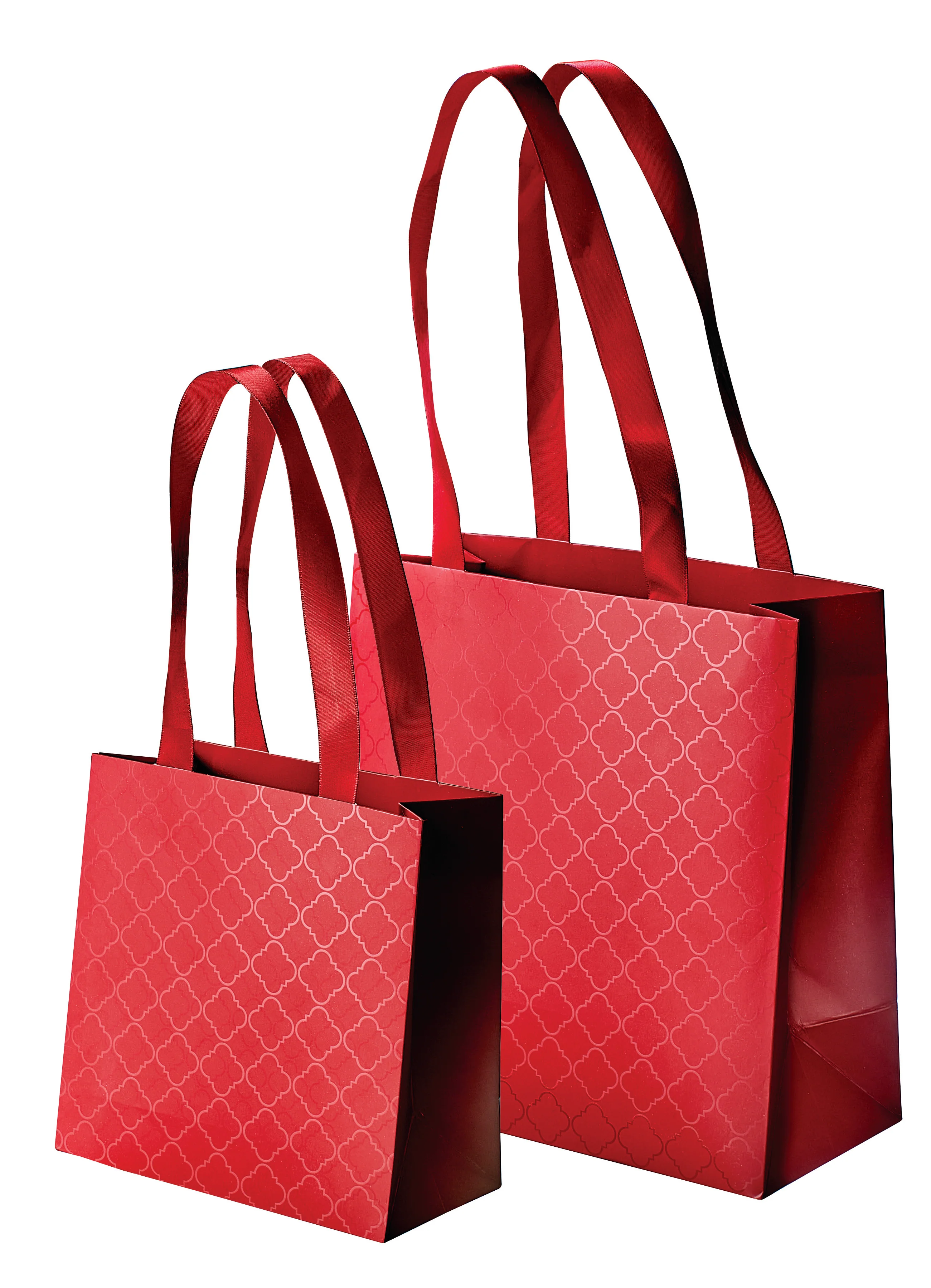 ALPINE Thick Paper Bag - Image 2